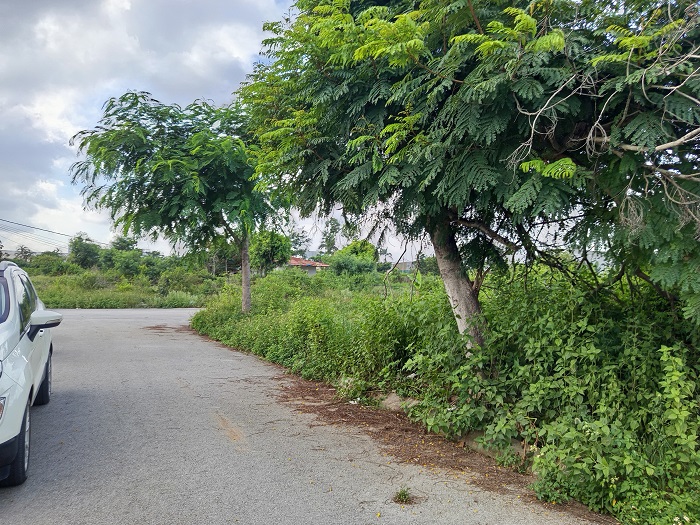 CƠ HỘI ĐẦU TƯ VÀ AN CƯ TẠI ANH DŨNG 1 – DƯƠNG KINH, HẢI PHÒNG